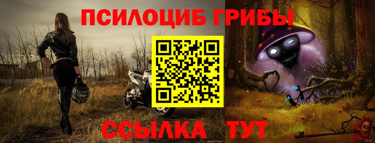 Галлюциногенные грибы Psilocybe  Псилоцибиновые грибы прущие грибы  Вход с VPN  Набережные Челны 